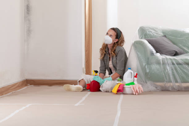 Reliable Mold Cleanup contractor in Akron, NY by Cheap Mold Removal